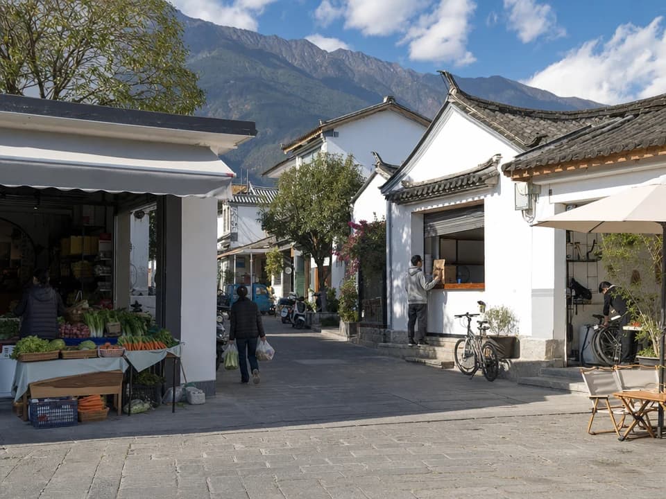 大理日常采买场景
