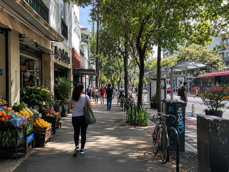 瓜达拉哈拉日常采买场景